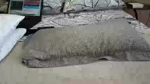 daddyslittleebony online show from April 12, 11:26 am