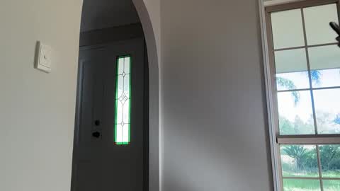 Daisy online show from March 15, 10:05 pm