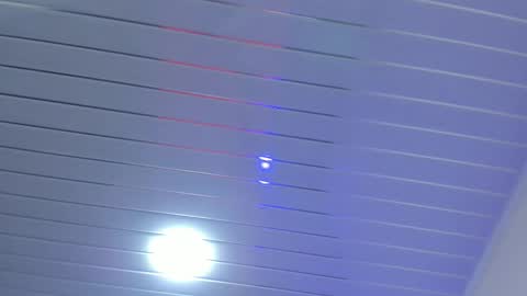 Daisy online show from November 3, 1:12 pm