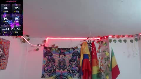 Dakko online show from February 16, 7:26 am