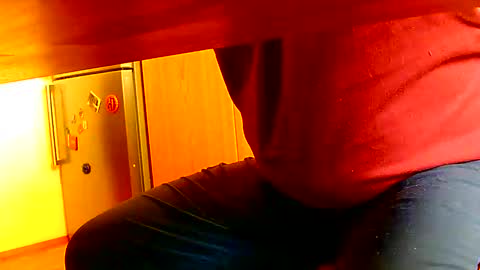 Snapshot of dammerl6 chatting on January 8, 10:48 am Dammerl online show from January 8, 10:48 am