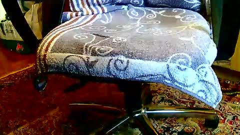 Snapshot of dammerl6 chatting on January 23, 1:24 pm Dammerl online show from January 23, 1:24 pm