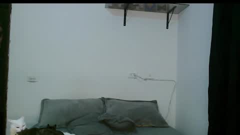 Snapshot of dan_yagami chatting on March 5, 12:27 am Dan and Noah online show from March 5, 12:27 am