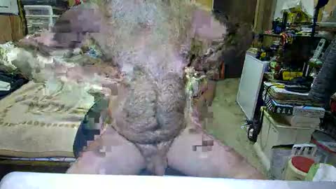 Dana online show from October 29, 4:42 pm