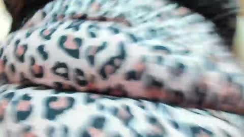 danajhonson online show from April 16, 2:07 pm