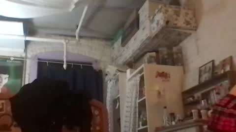 Snapshot of danceissexisbeauty2 chatting on December 4, 8:12 am Your submissive patient online show from December 4, 8:12 am