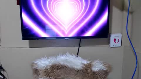 Danica online show from May 15, 11:34 pm