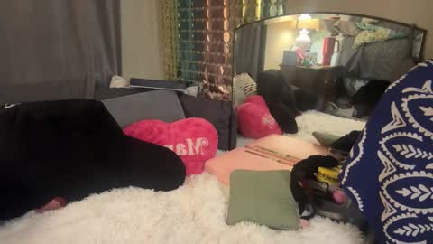 Snapshot of danidragon69 chatting on February 5, 8:32 am Dani Dragon online show from February 5, 8:32 am