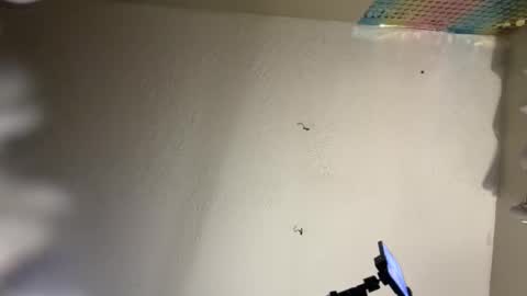 Snapshot of danidragon69 chatting on February 8, 10:50 am Dani Dragon online show from February 8, 10:50 am