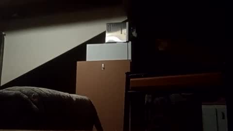 Snapshot of danieldayz chatting on November 4, 10:58 am danieldayz online show from November 4, 10:58 am