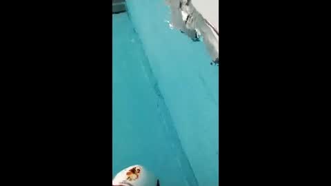 Snapshot of danipas_30 chatting on February 12, 5:57 am danipas_30 online show from February 12, 5:57 am