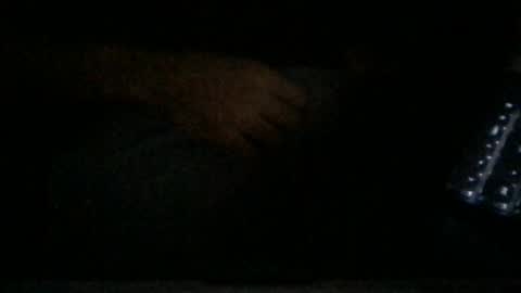 Snapshot of danjohnny3000 chatting on December 28, 9:40 pm jerking off secretly edging talk dirty to me so i stroke harder online show from December 28, 9:40 pm