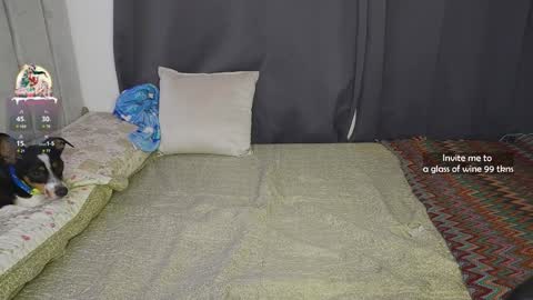    online show from December 30, 10:55 pm