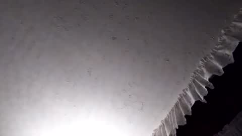 dannowisc online show from April 7, 2:45 am