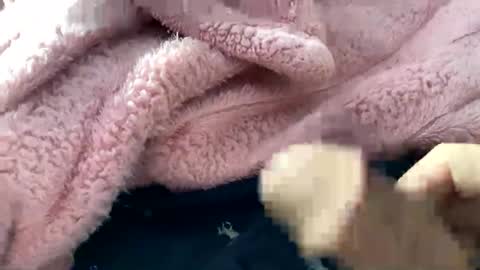 dannyboy621 online show from November 10, 2:16 pm