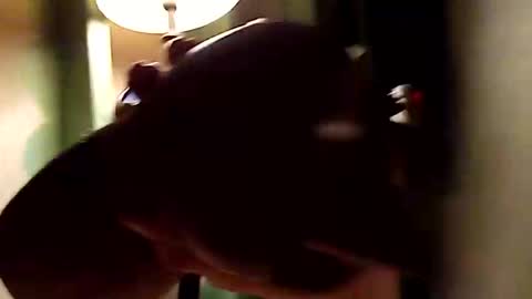 Snapshot of dano9696 chatting on November 1, 10:28 am dano9696 online show from November 1, 10:28 am