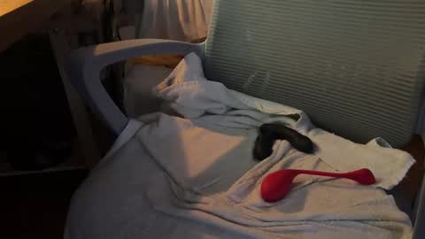 Snapshot of danteslife chatting on November 18, 7:13 am Dante online show from November 18, 7:13 am