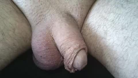 dapppper online show from May 20, 12:33 pm