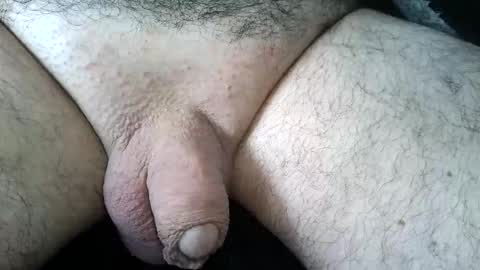 dapppper online show from June 2, 11:56 am