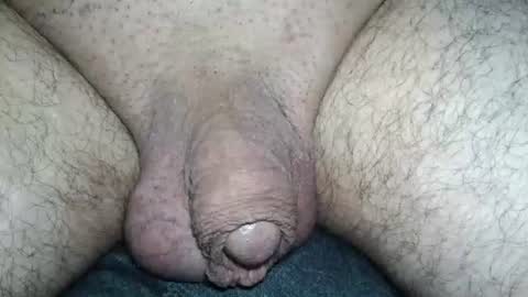 dapppper online show from June 15, 1:41 am