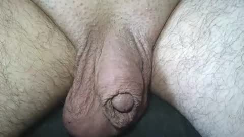 dapppper online show from June 26, 4:22 pm