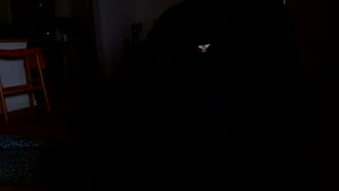 datyo1234 online show from March 17, 5:22 am