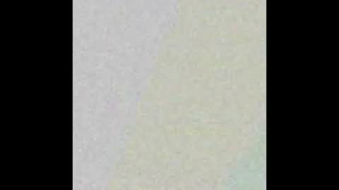 David online show from February 2, 5:17 am