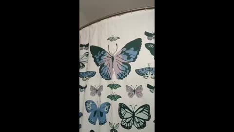 davidb510suckme online show from May 17, 3:48 am