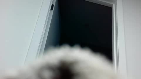 Davvyd online show from September 18, 4:31 pm