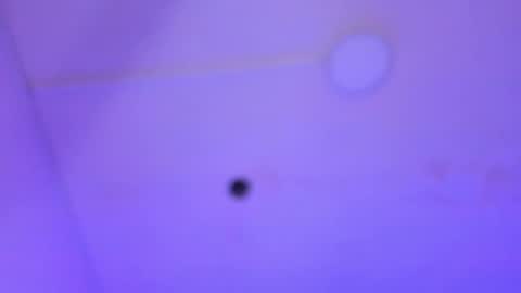 Snapshot of dayana_harlow2 chatting on January 16, 1:16 am dayana_harlow2 online show from January 16, 1:16 am