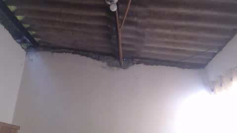 Dylon online show from October 25, 12:23 pm