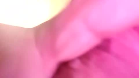 Snapshot of dazzaboxer chatting on November 16, 1:44 am dazzaboxer online show from November 16, 1:44 am