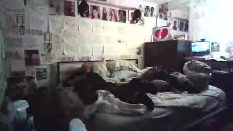 Snapshot of dbeamon92 chatting on February 7, 12:25 am dbeamon92 online show from February 7, 12:25 am