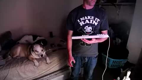 dbfroge online show from March 13, 10:00 am