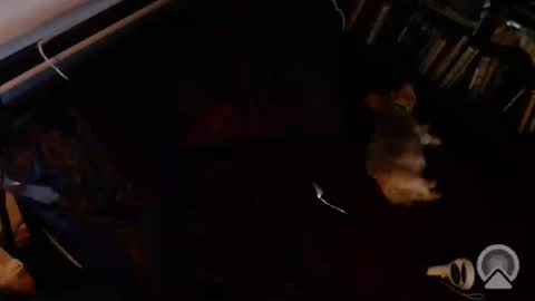 Snapshot of dcteamfucker chatting on July 20, 1:20 am DCTeamFucker online show from July 20, 1:20 am
