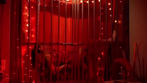 D Devours Kitty online show from February 15, 5:37 am