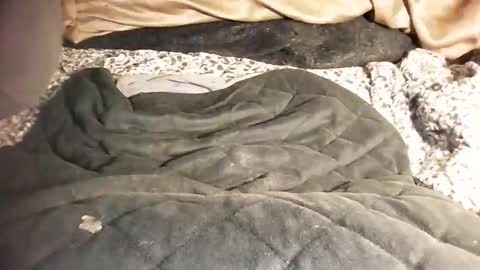 Snapshot of ddick0303 chatting on March 6, 12:01 pm ddick0303 online show from March 6, 12:01 pm