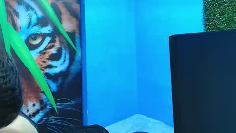 Snapshot of deiby_baby chatting on January 31, 7:11 pm DEIBY online show from January 31, 7:11 pm