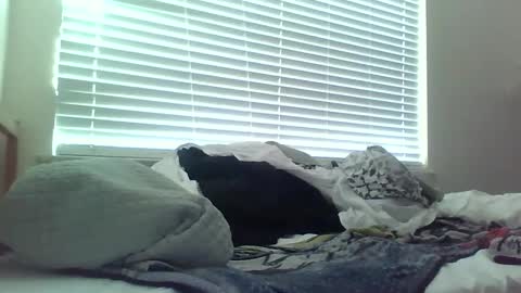 delightfuldark online show from February 15, 11:47 pm