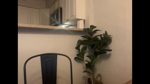 Snapshot of delightfuldark chatting on February 24, 10:30 pm delightfuldark online show from February 24, 10:30 pm