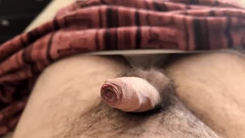 Snapshot of denis647 chatting on February 5, 2:26 pm LilRoach online show from February 5, 2:26 pm