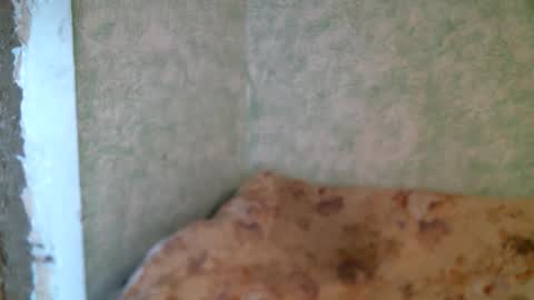 Snapshot of dennisxcarol chatting on April 23, 10:14 am DennisXCarol online show from April 23, 10:14 am