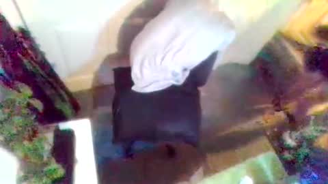 denveversbb online show from April 3, 8:51 pm