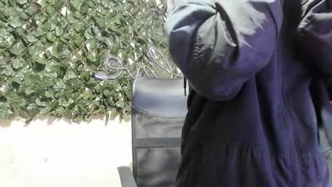 Destiny online show from January 19, 11:58 am