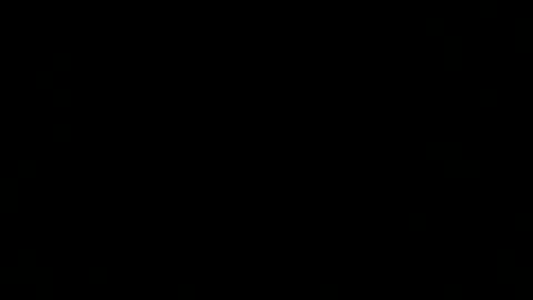 dexcarter81 online show from March 2, 12:32 pm