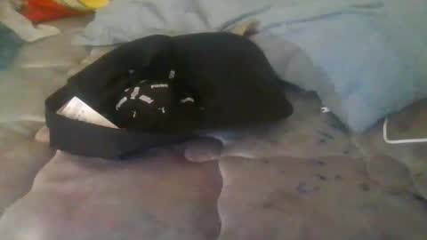 diamondeye112 online show from December 23, 5:05 am