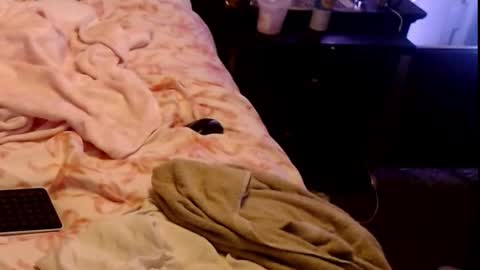 Sparkx online show from March 1, 7:32 am