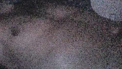 dick online show from July 11, 10:18 am