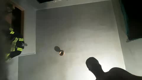 dickybigball online show from October 9, 11:52 am