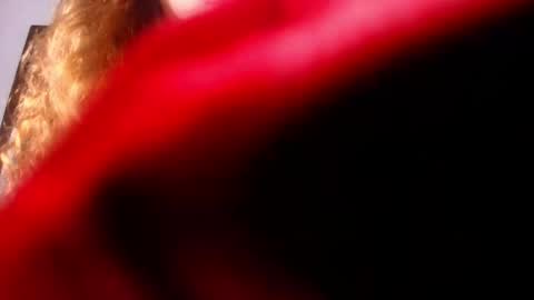 Snapshot of didiane_ chatting on February 26, 7:16 pm Diane online show from February 26, 7:16 pm
